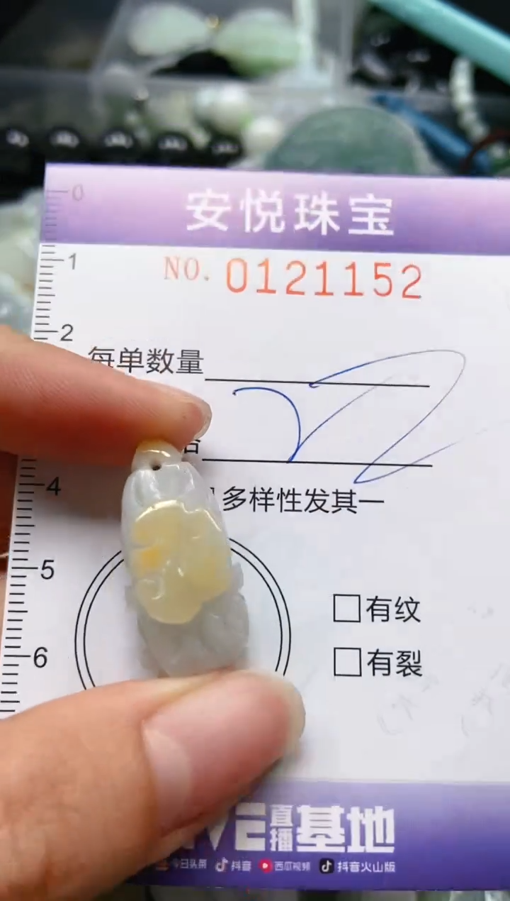 【闪购商品】翡翠颈饰未镶嵌闪购0121152