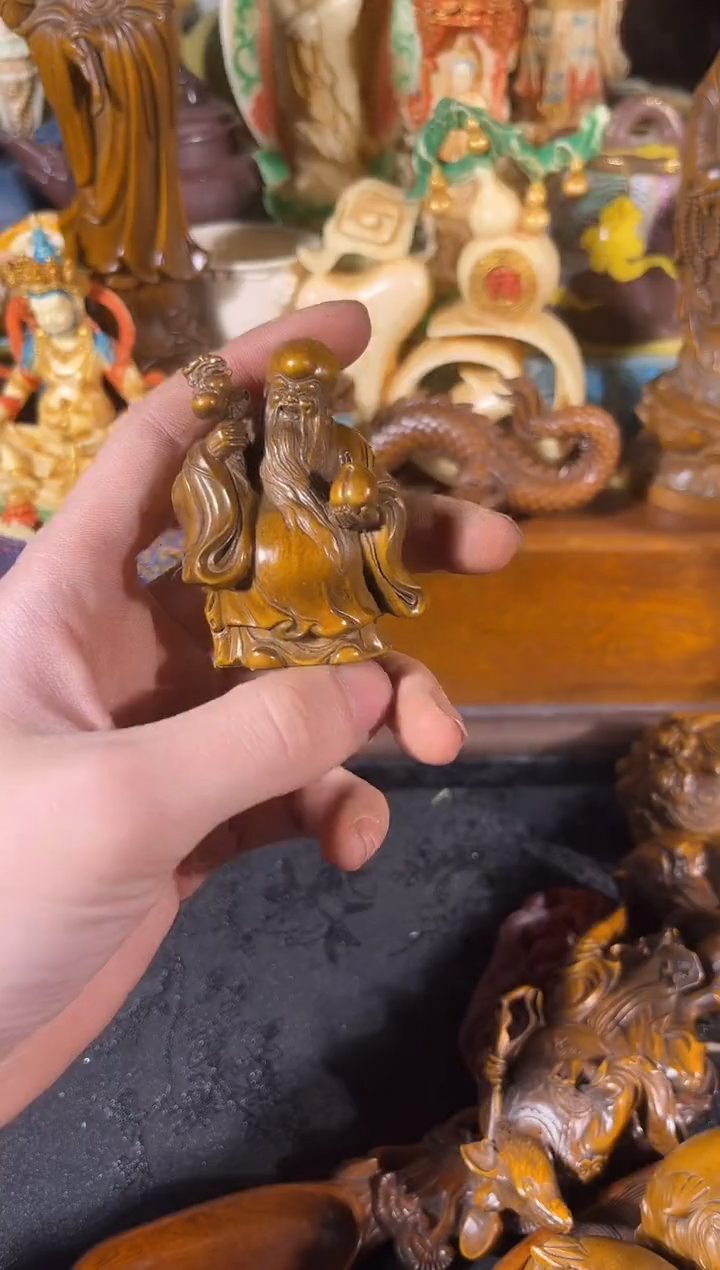 黄杨木11111111111