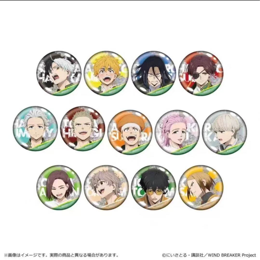 日谷盒配 防风少年 TV绘闪吧唧 盲盒默认代拆 收藏潮玩