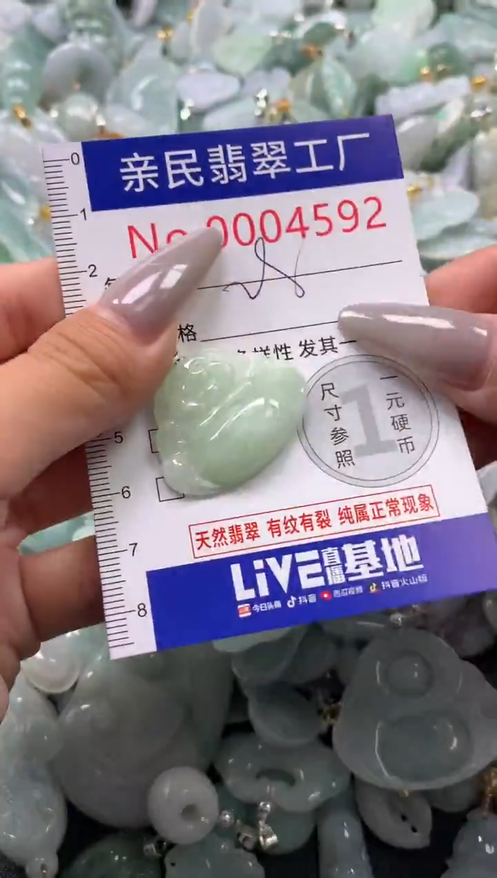 颈饰未镶嵌翡翠4592