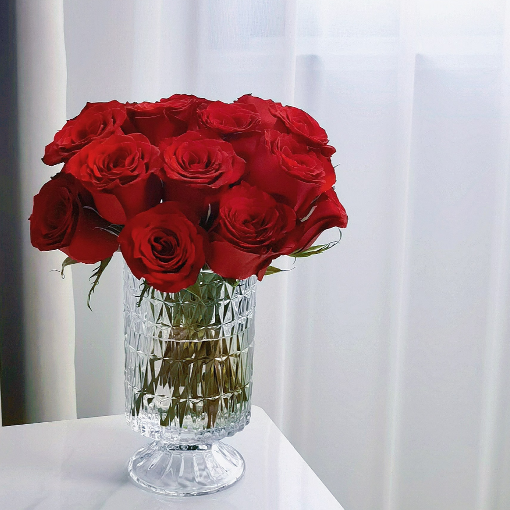 【新疆鲜花次日达】高原红玫瑰 -花鲜达家居养花插花新疆生活鲜花全场两单顺丰包邮送货上门今天拍明天到