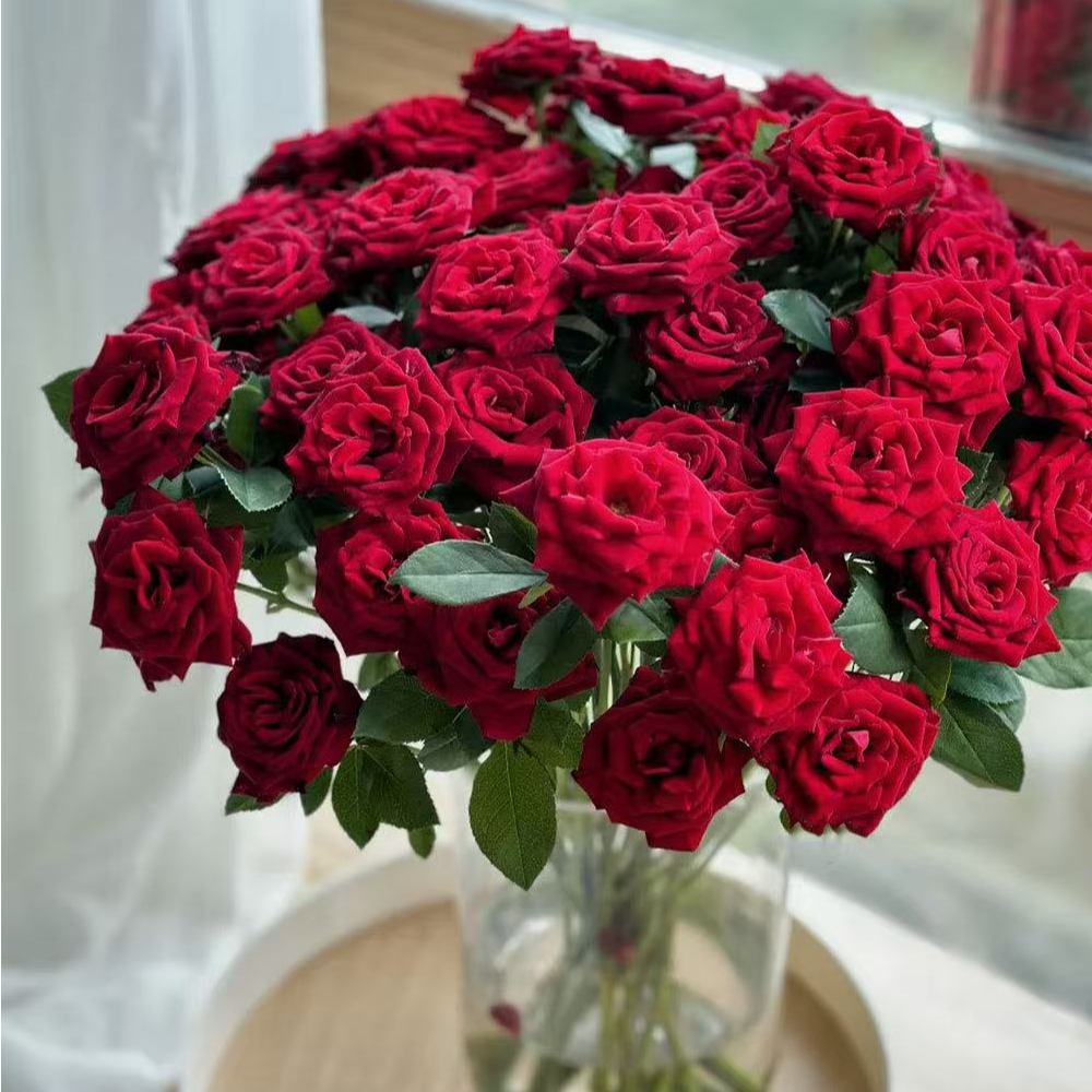花無凡【赤玉多头玫瑰10支】【3单送配草，5单送配花】