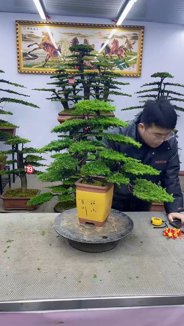 【闪购商品】啊啊啊啊啊