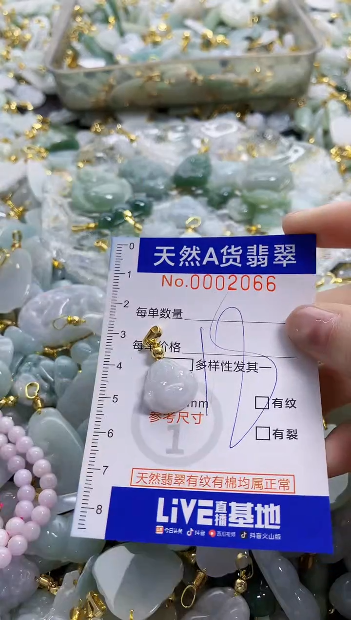 颈饰未镶嵌翡翠纯天然a货翡翠