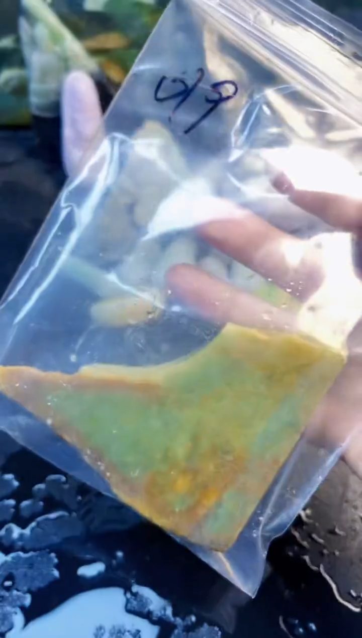 颈饰未镶嵌翡翠天然翡翠019