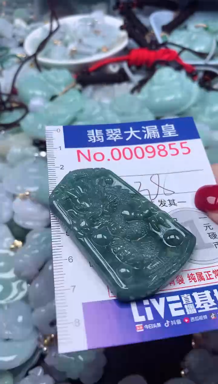 颈饰未镶嵌翡翠9855