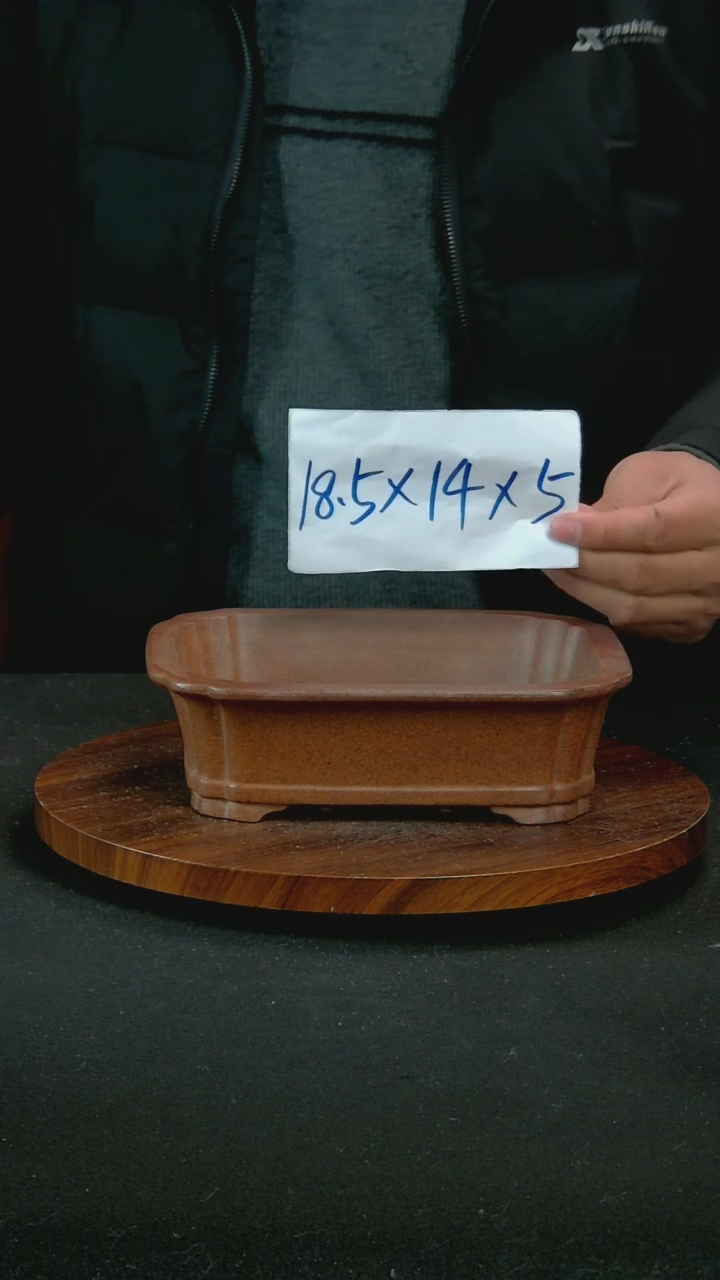 【闪购商品】紫砂Q31