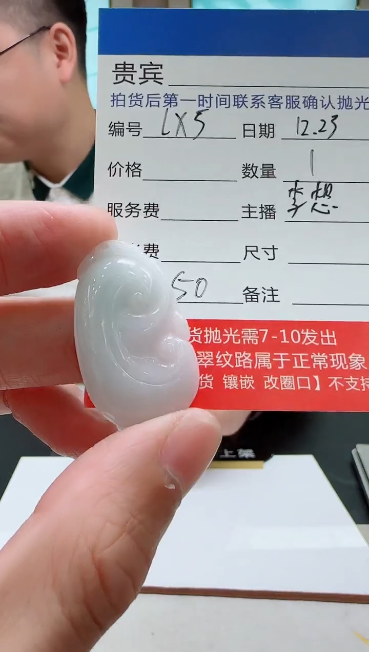 颈饰未镶嵌翡翠LX5翡翠吊坠-多样性发其一