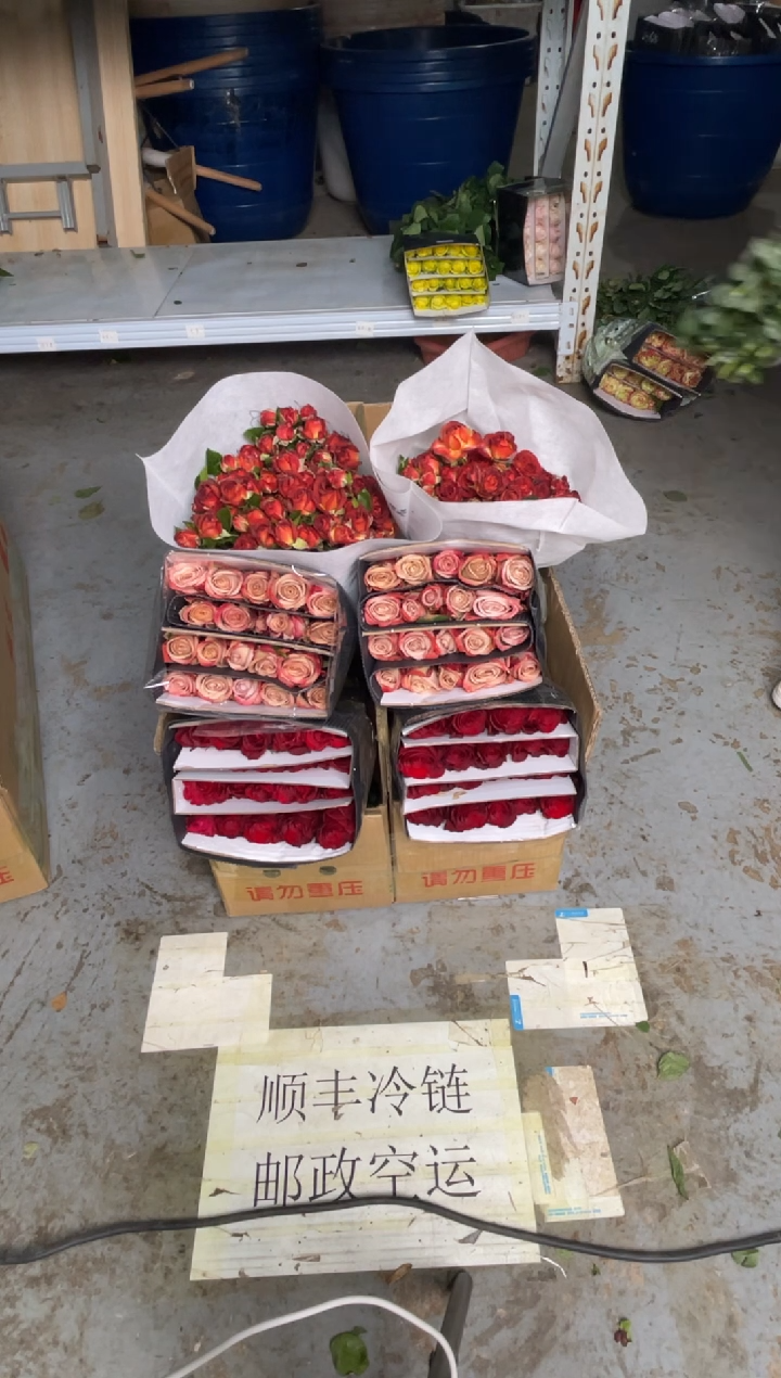 高原红20枝+卡布20枝+巧克力10枝+尤加利