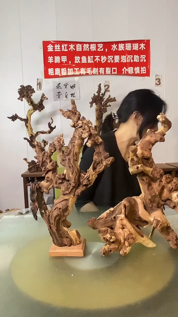 木金**业金丝红木 羊蹄甲2