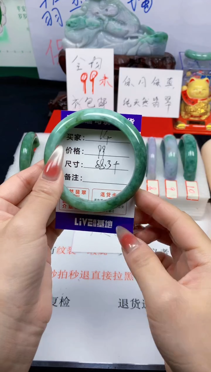 未镶嵌手镯翡翠14