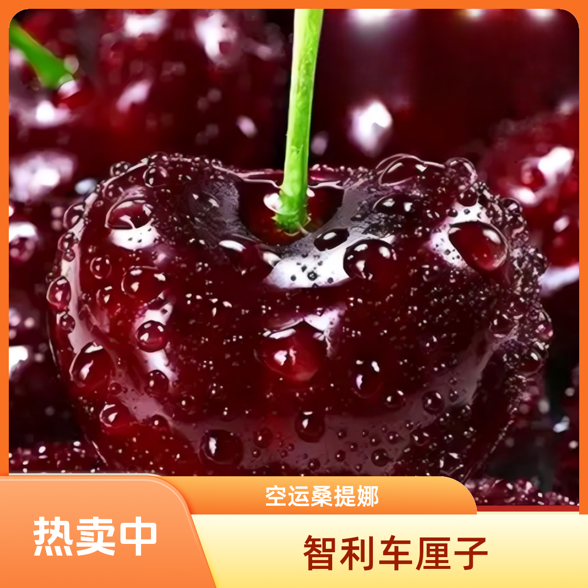 【空运头茬FL】2JD智利车厘子空运进口桑提娜 内附果径卡【ZZ】