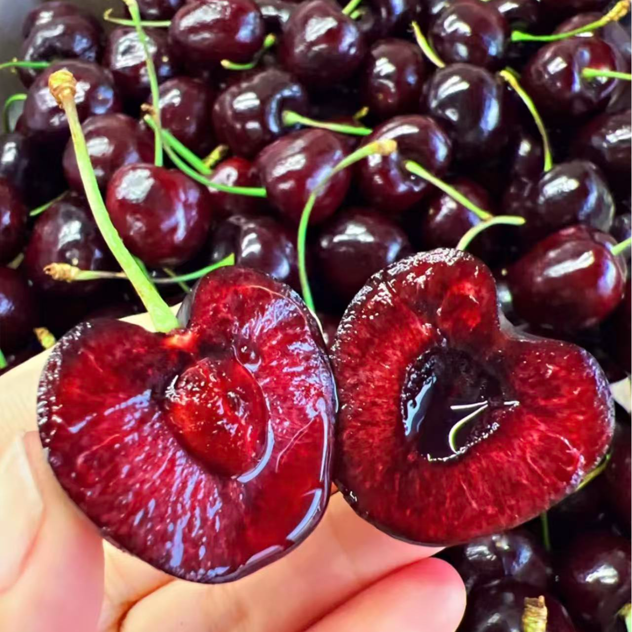 智利车厘子4J，海运，净重2500g（会有裂果）特价商品，介意勿拍智利