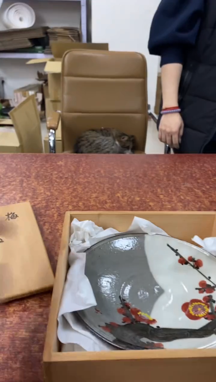 瓷片165小林轩欢迎您