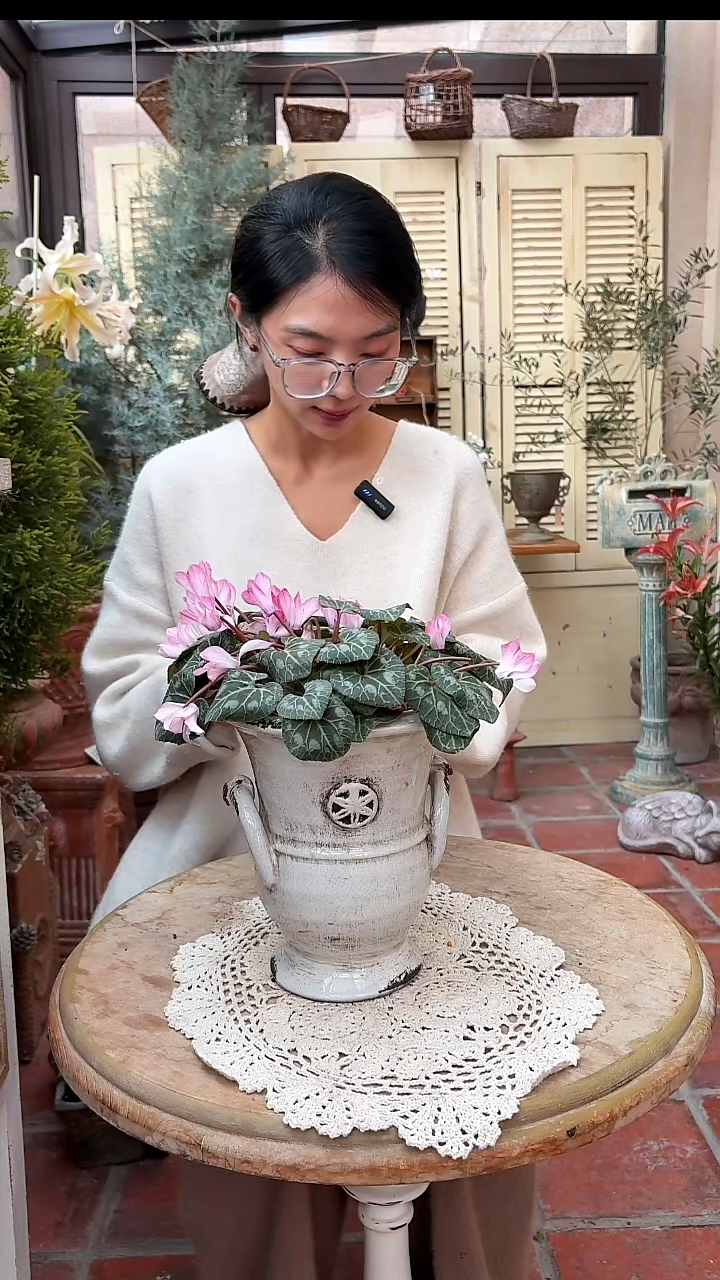 手拉冰裂花盆福利价002