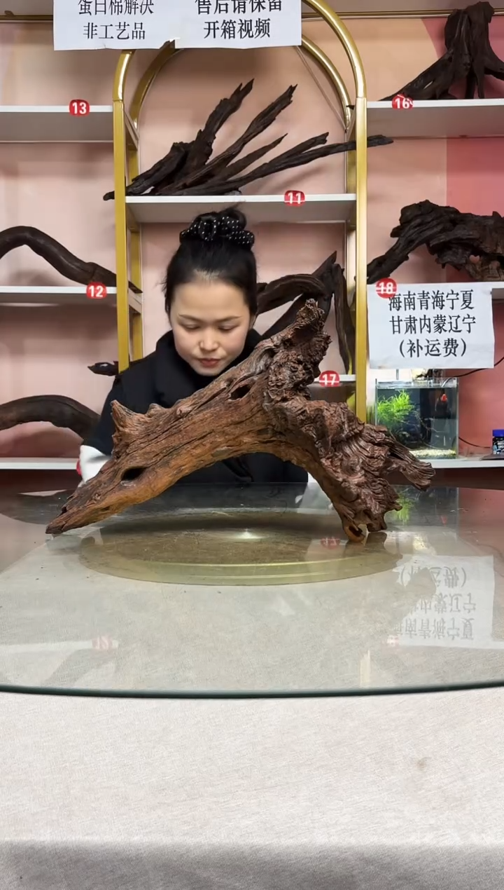 润****）鱼缸造景沉木A965