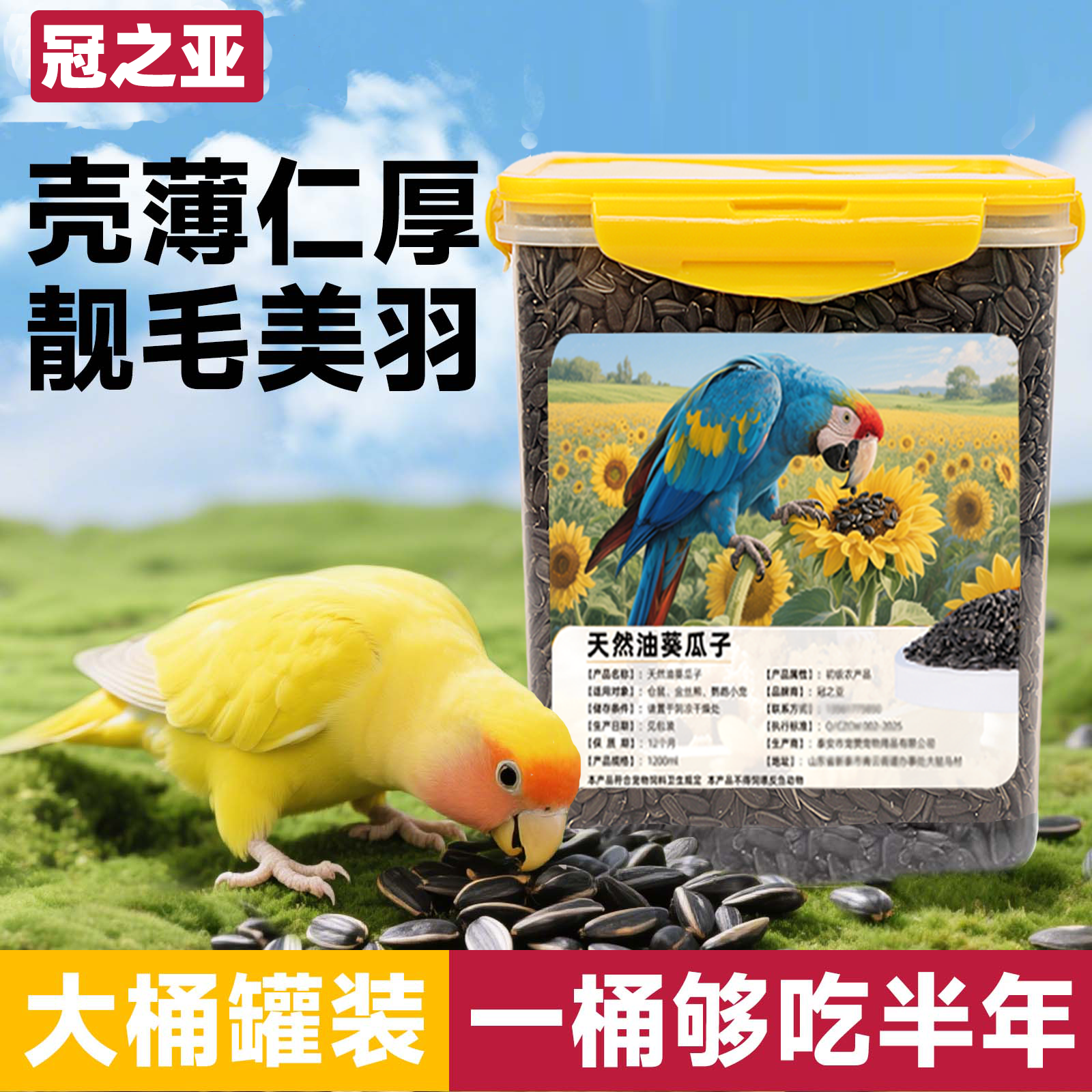 鹦鹉瓜子玄凤虎皮饲料鸟食零食训练奖励食物黑珍珠油葵小瓜子鸟粮