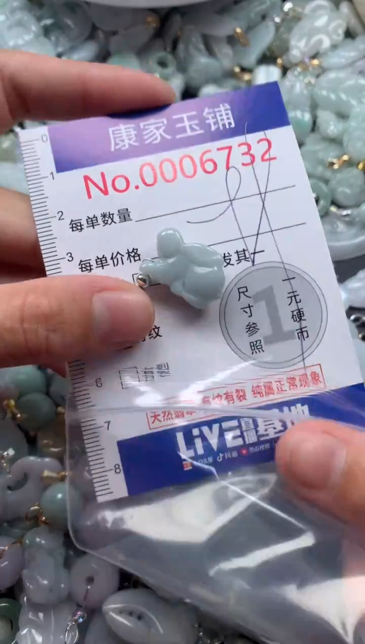 颈饰未镶嵌翡翠6732