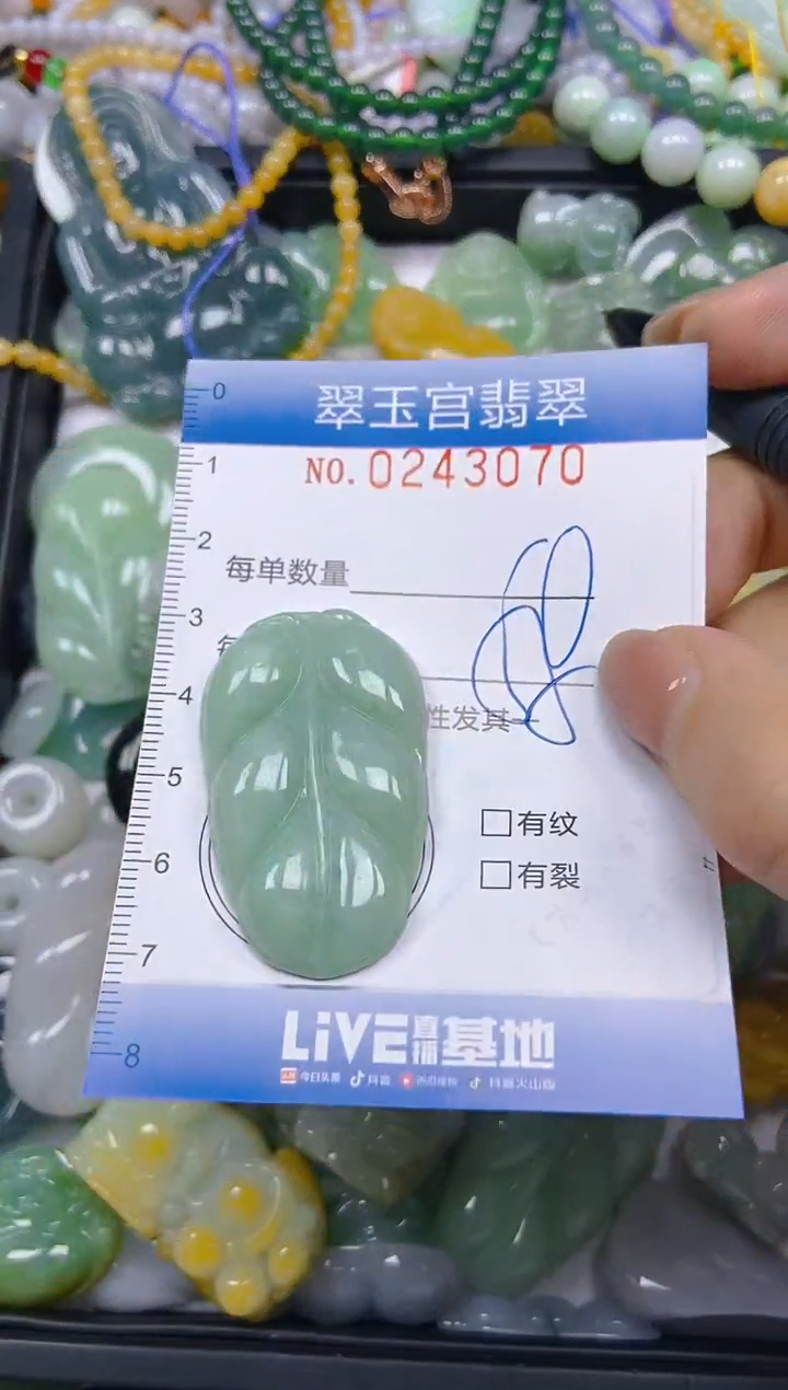 颈饰未镶嵌翡翠闪购C0243070