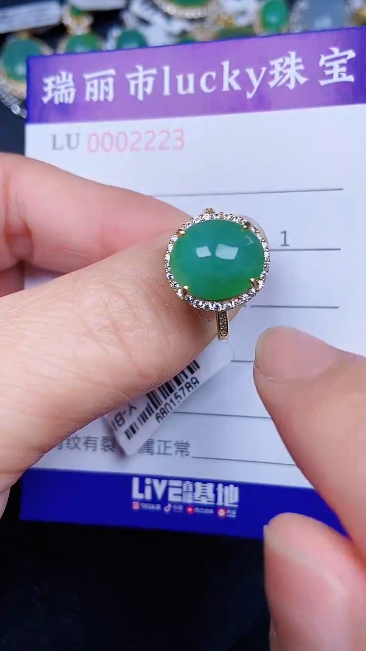 颈饰银S925镶嵌翡翠2230