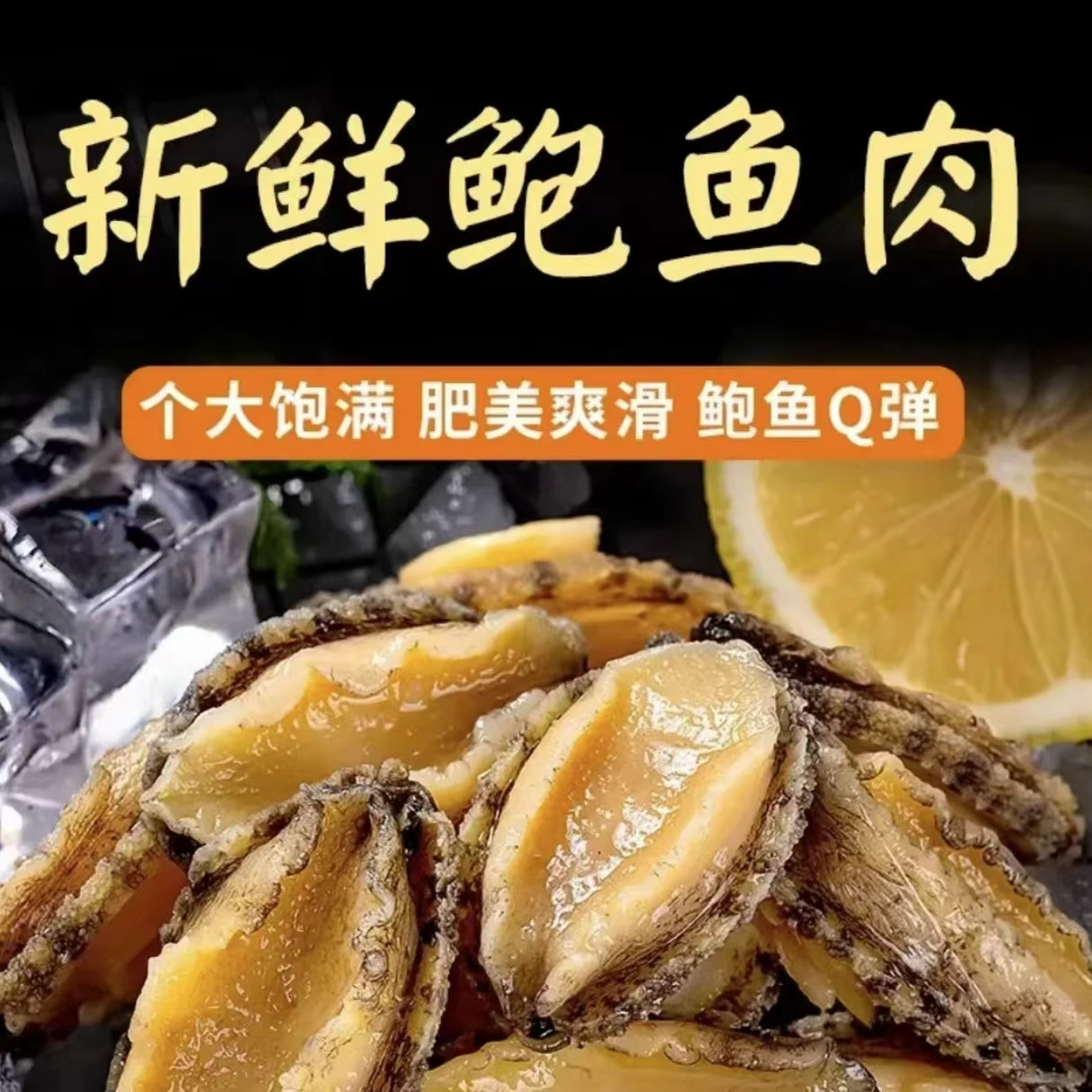 连云港发货 大号鲍鱼肉新鲜活冻 到手20只/包400克左右