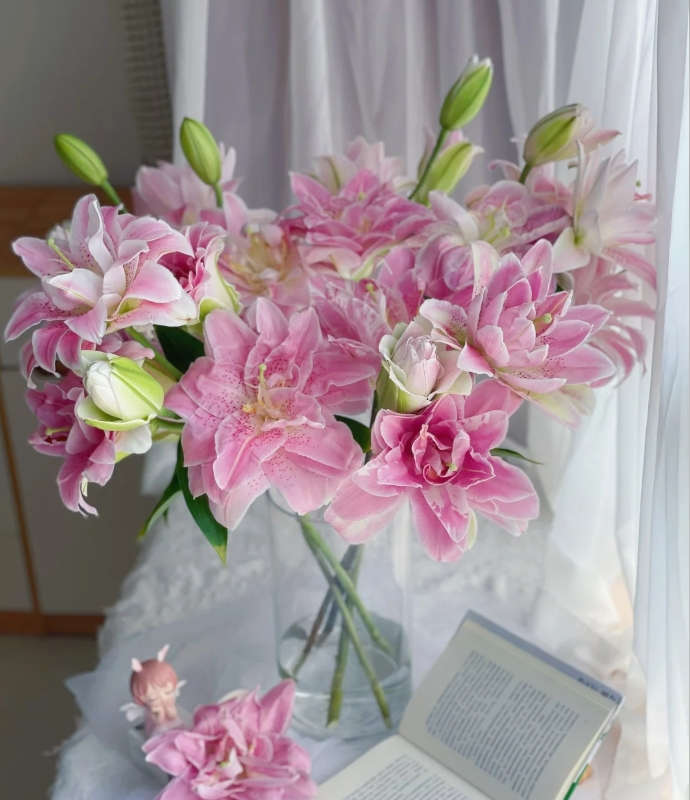 【3头-粉拉菲】粉色重瓣香水百合颜值高 家居鲜花