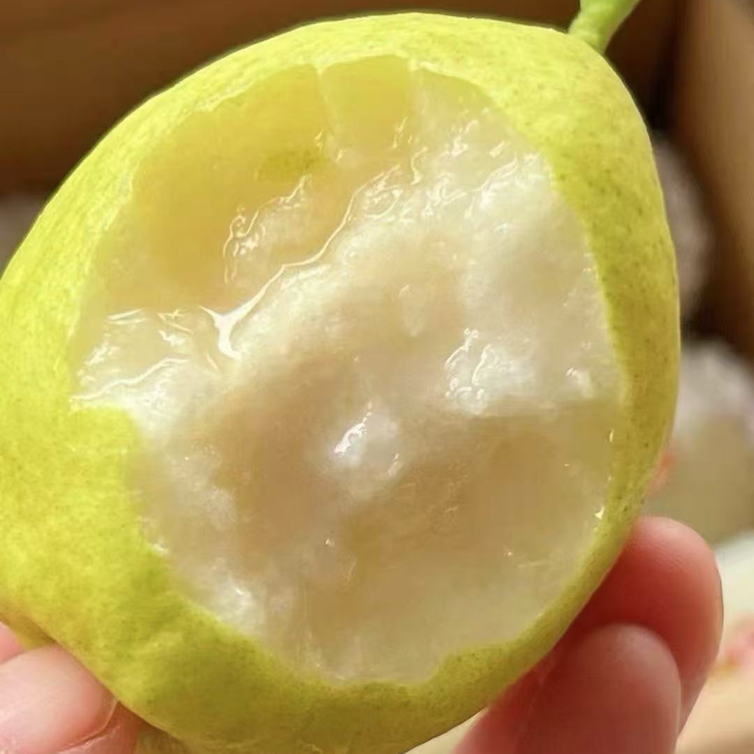 【玉露香梨】 新鲜水果 汁水多 水分足新疆维吾尔自治区