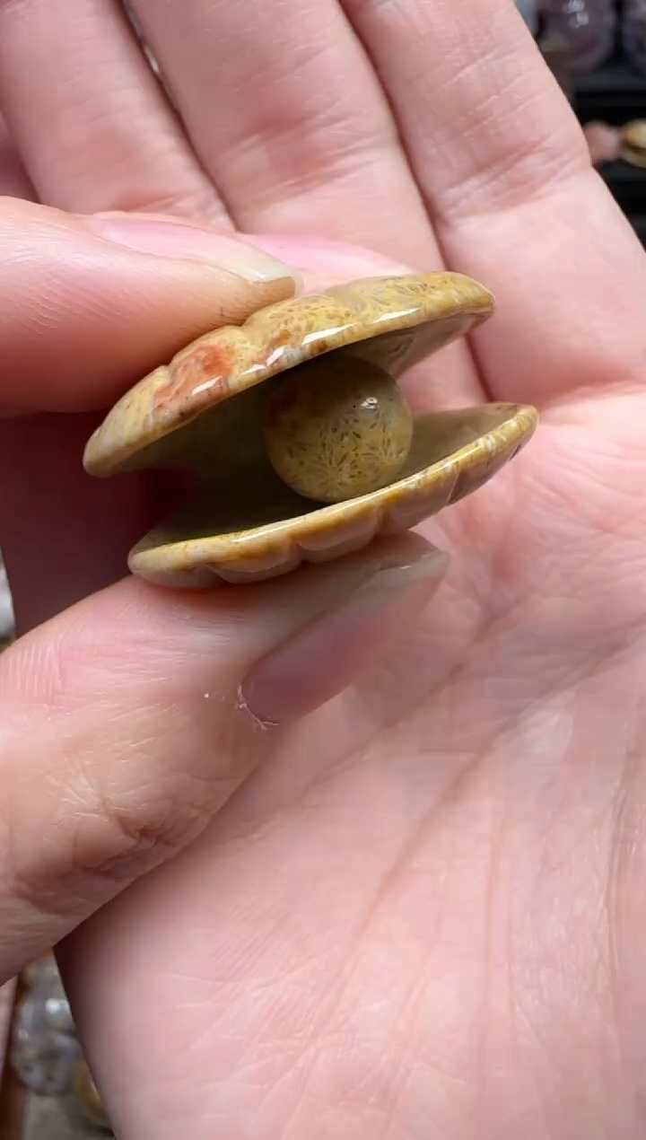 颈饰未镶嵌硅化珊瑚（珊瑚玉）851