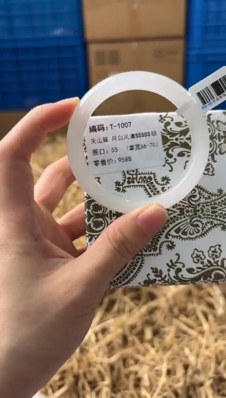 未镶嵌手镯石英质玉T-1007