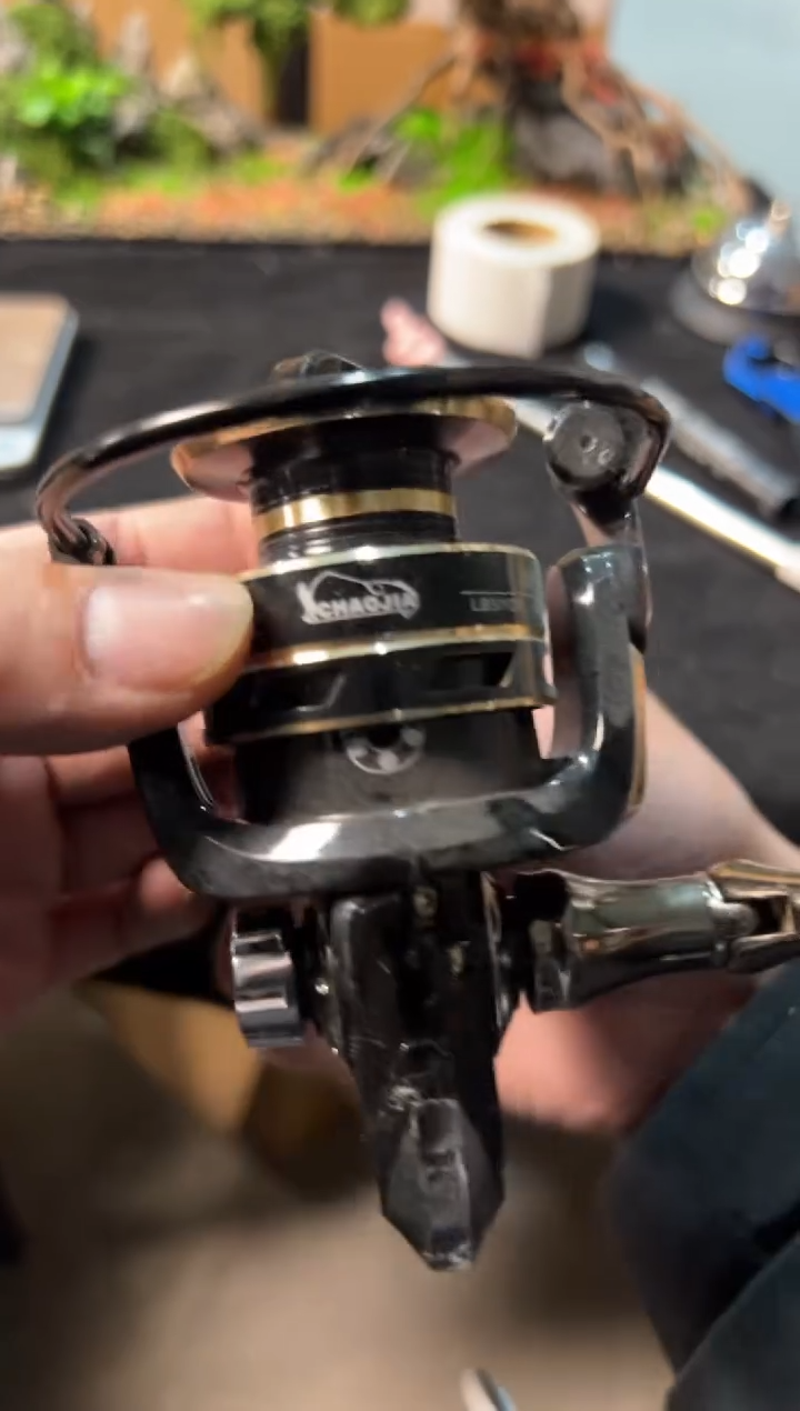 拍9路亚轮饵路亚装备