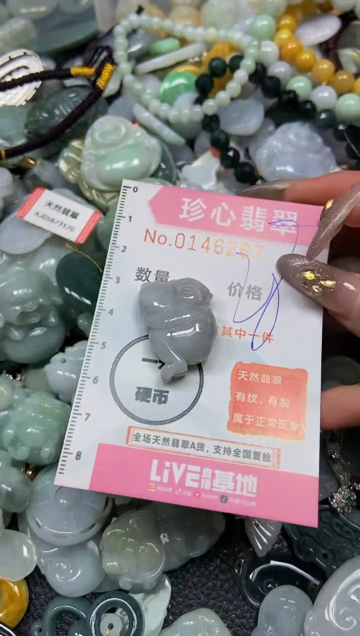 【闪购商品】翡翠颈饰未镶嵌闪购0146267