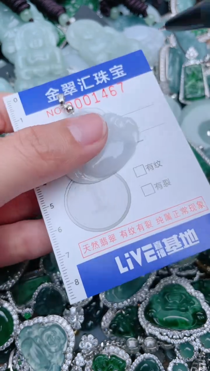 【闪购商品】翡翠颈饰未镶嵌1467........