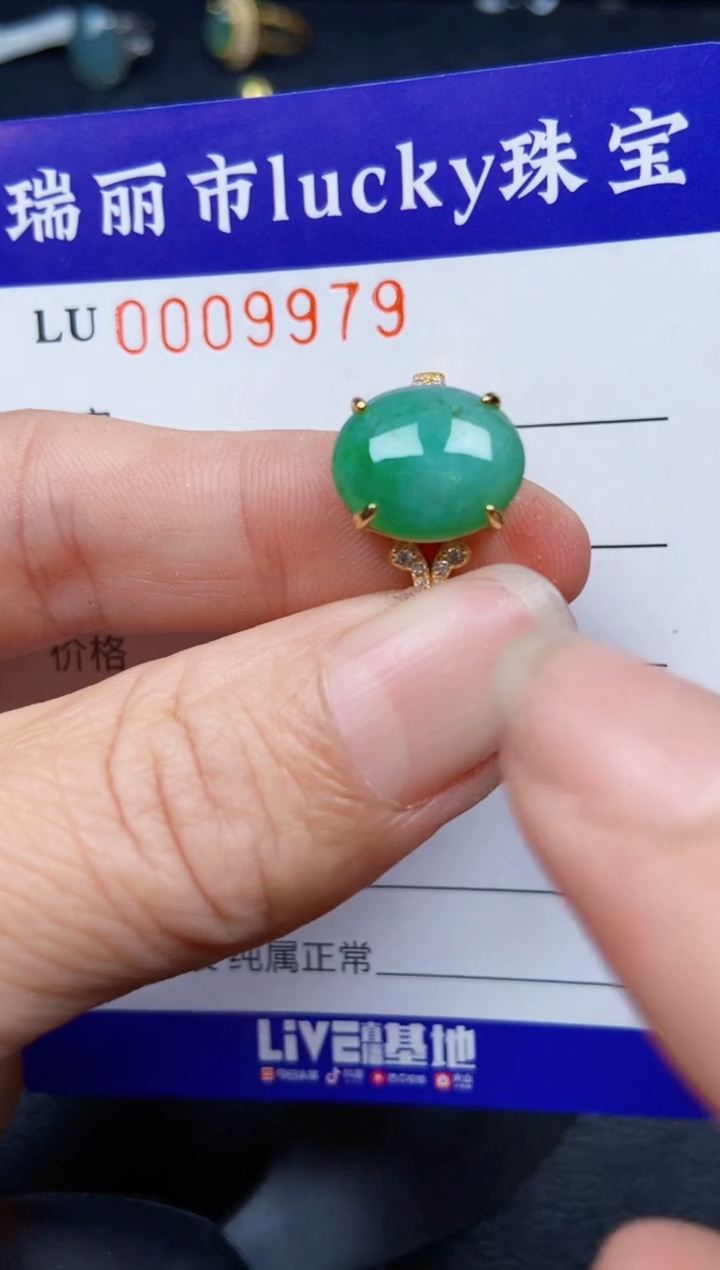 【闪购商品】翡翠颈饰银S925镶嵌9979