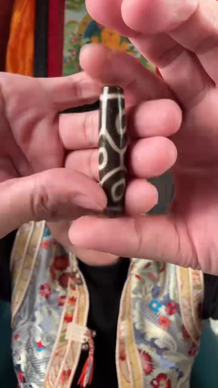 无非金属龟甲六眼