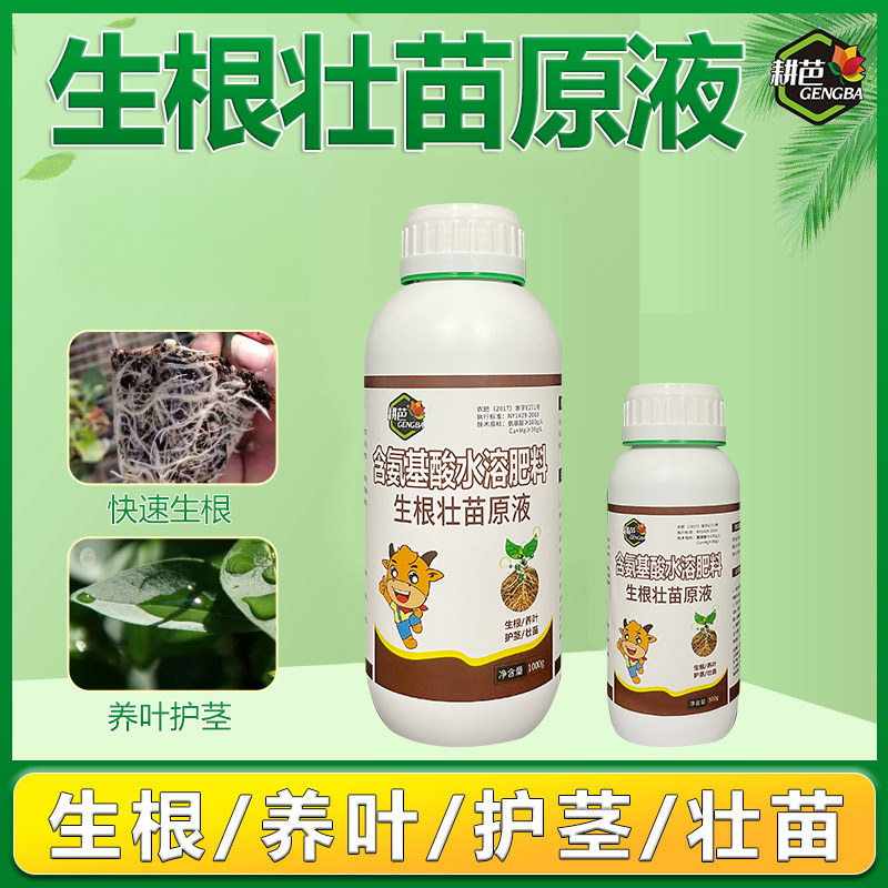 耕芭生根壮苗原液生根壮苗剂生根液移栽扦插壮根植物通用