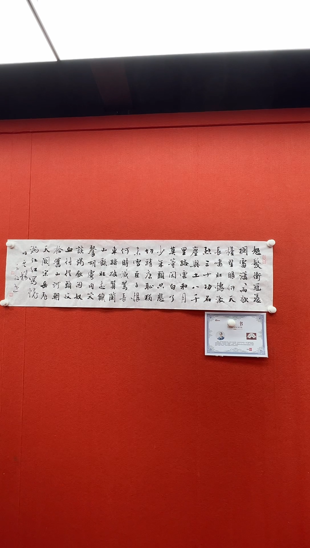 书法复星书画精选作品