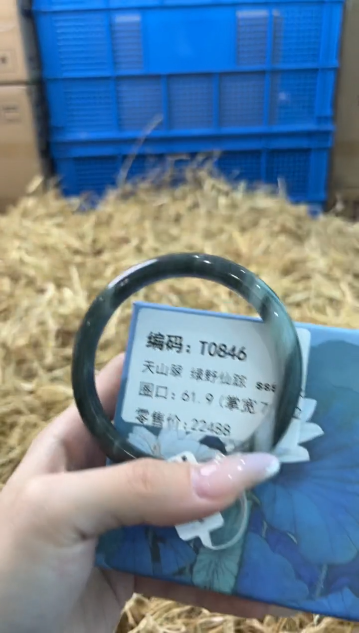 未镶嵌手镯石英质玉T0846