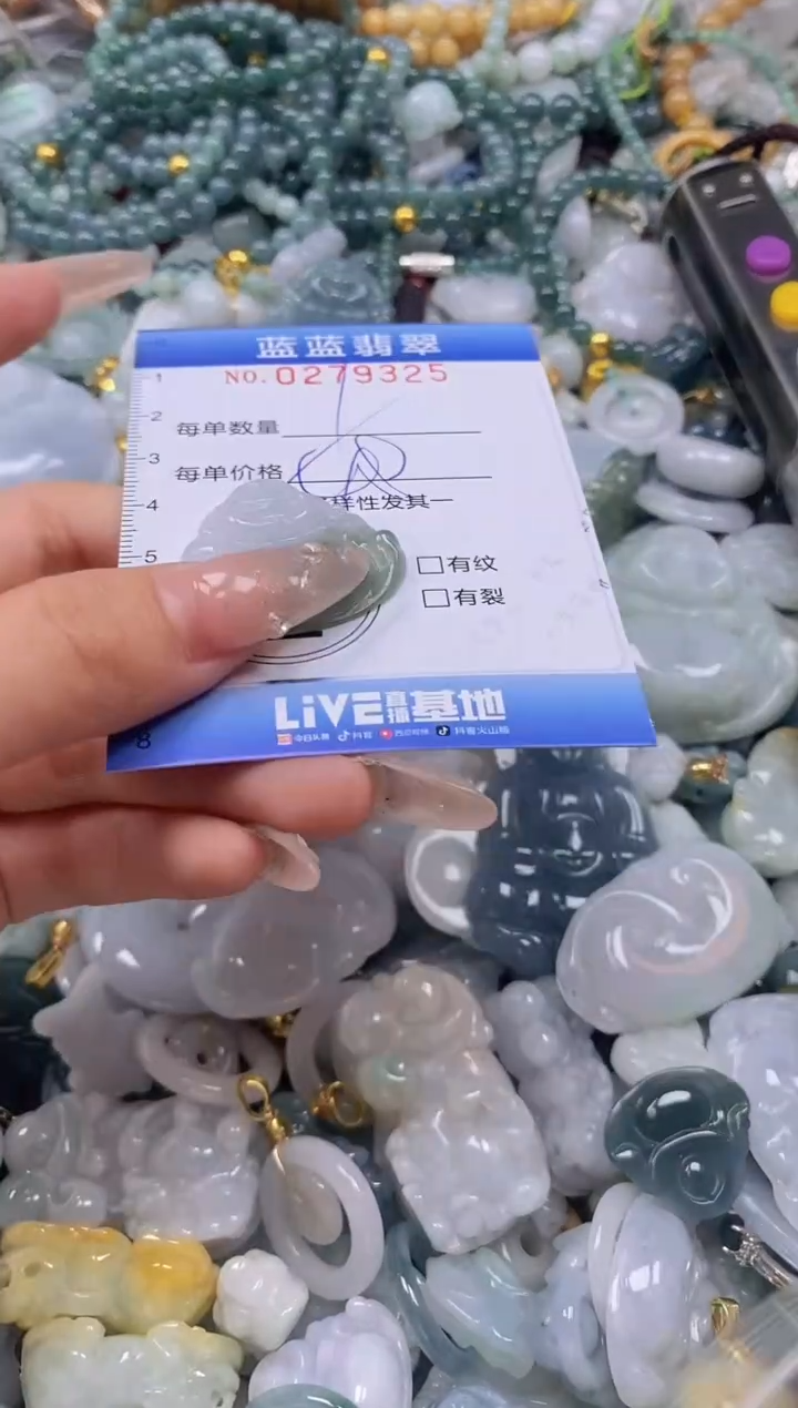 翡翠未镶嵌颈饰闪购0279325