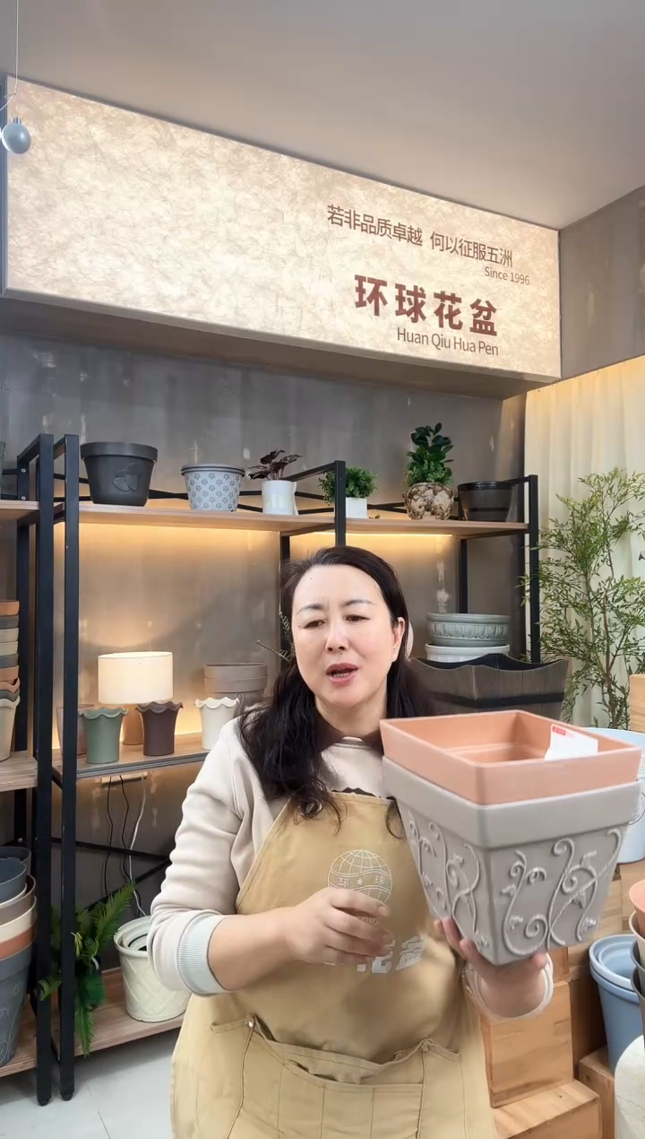 10紫苏方盆10只装颜色备注