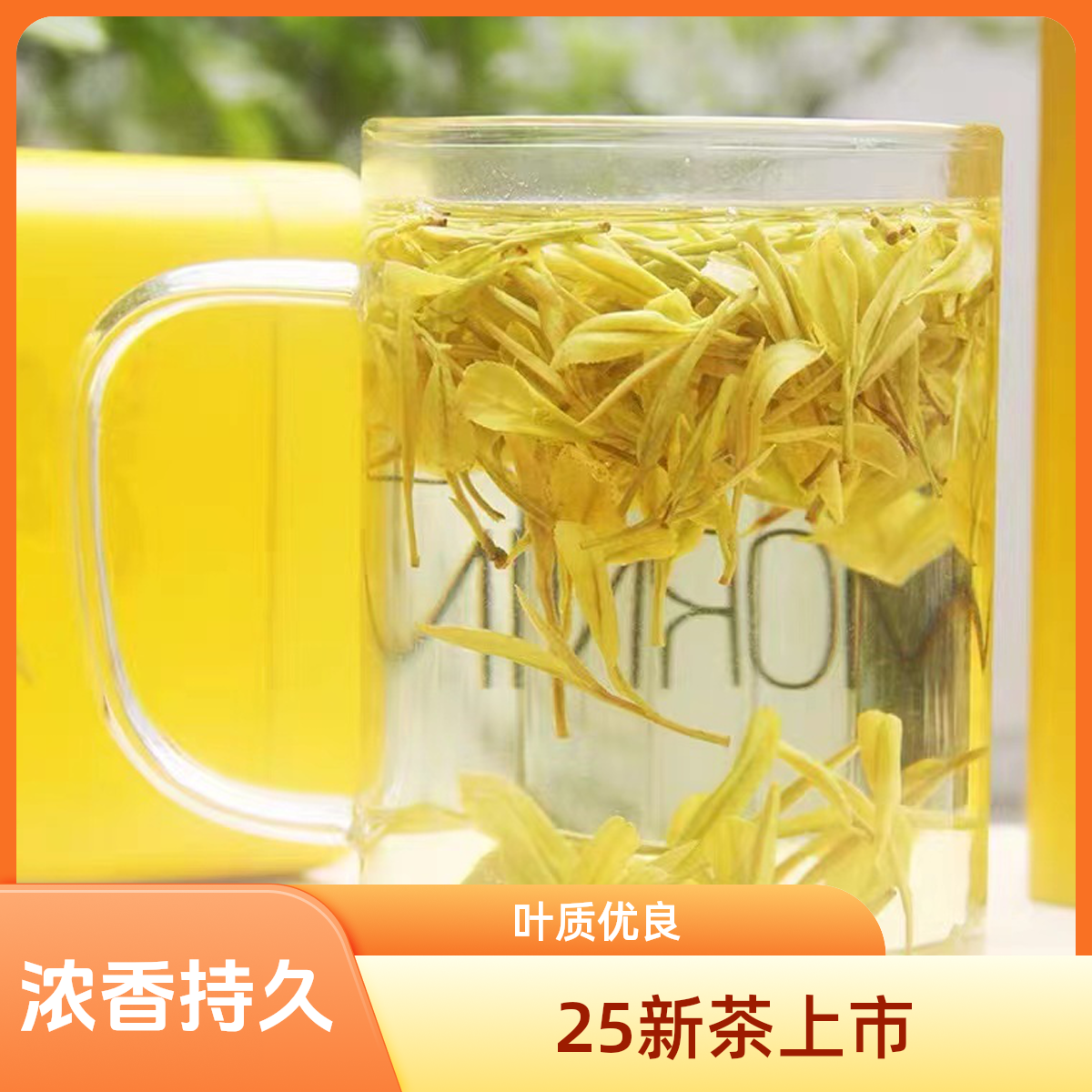 {宠粉口粮王}2025年新茶黄金芽(浓香茶叶耐泡)250g/500g