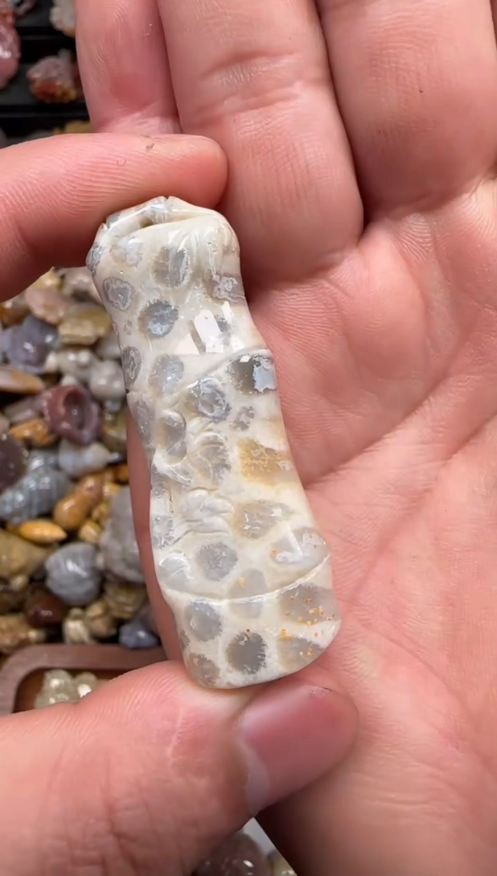 硅化珊瑚（珊瑚玉）未镶嵌颈饰243