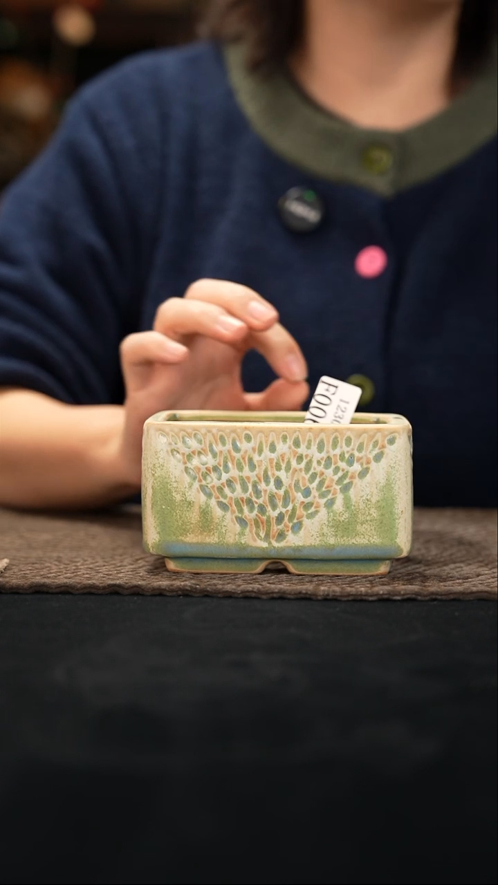 口径花盆12-30-006特