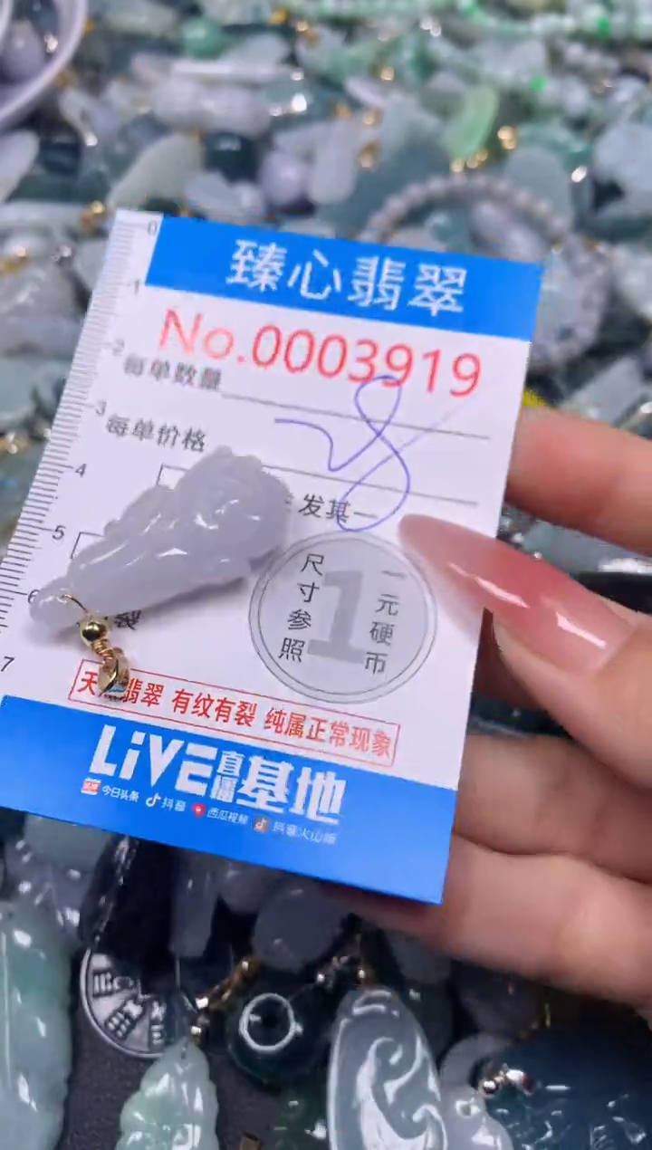 【闪购商品】翡翠颈饰未镶嵌含绳0003919