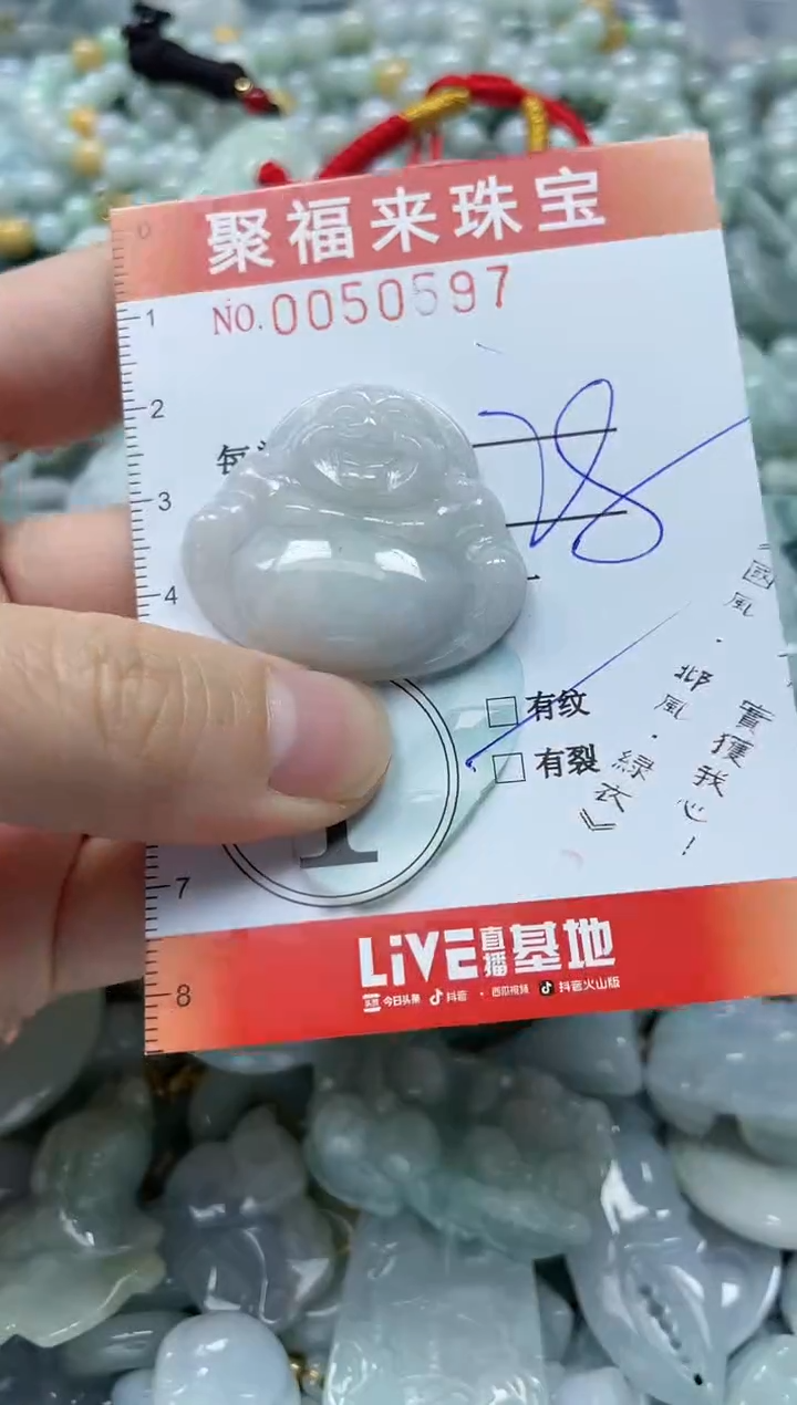 【闪购商品】翡翠颈饰未镶嵌闪购0050597