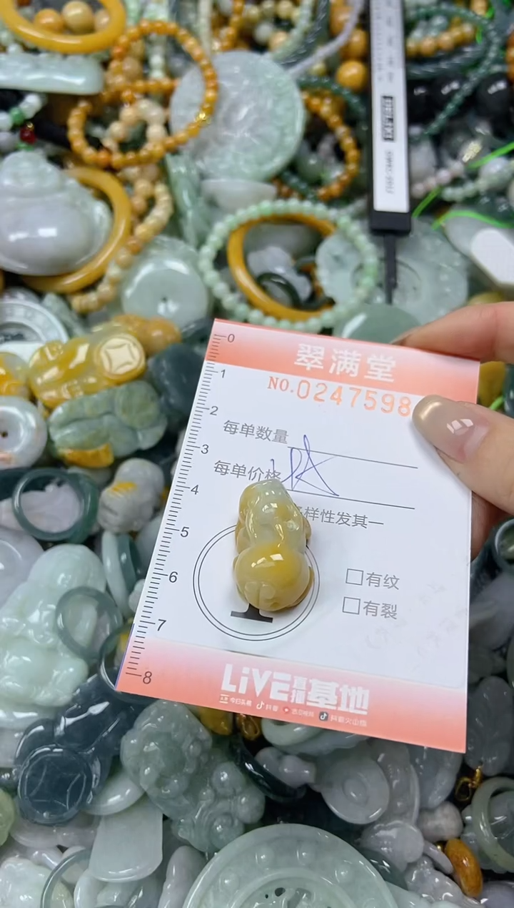 未镶嵌挂件翡翠闪购0247598