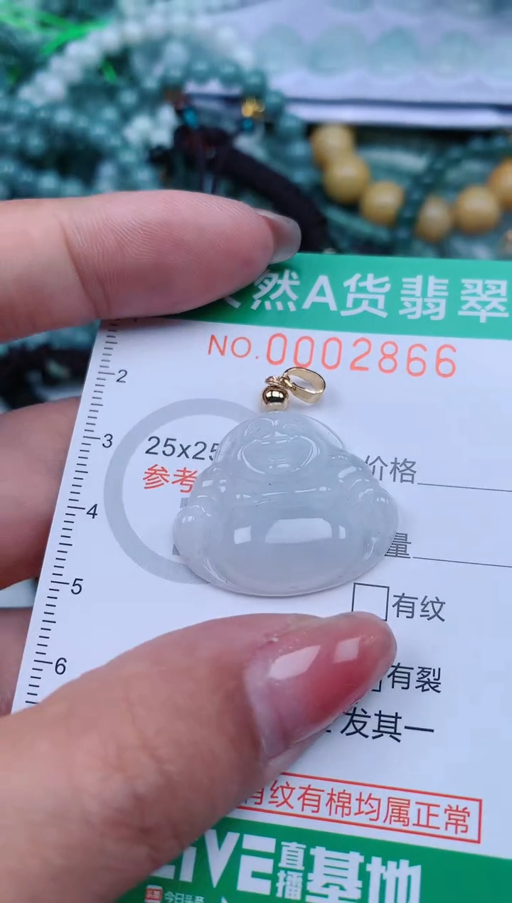 【闪购商品】翡翠颈饰未镶嵌.0002866