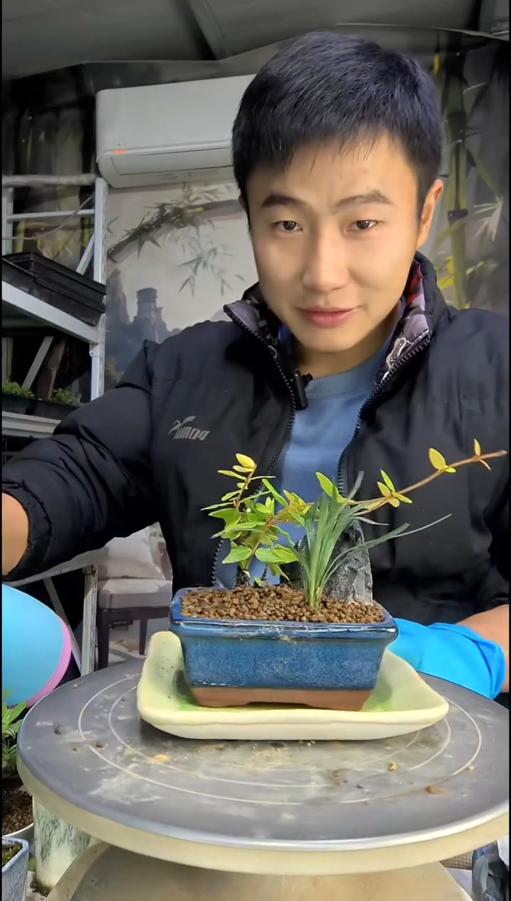 @****i中青园艺一物一拍296