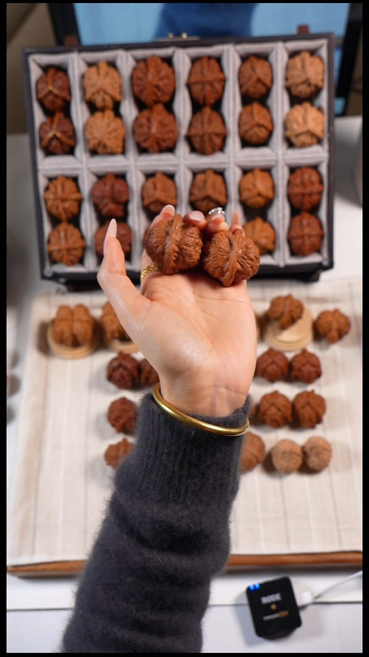 核桃血麒麟66666