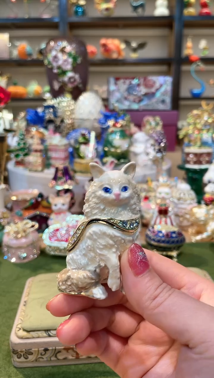 样品如图美美美美——