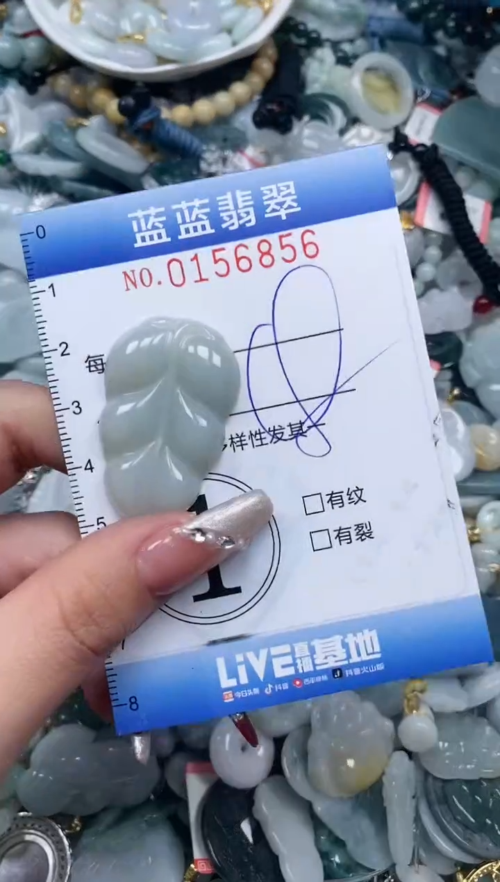 【闪购商品】翡翠颈饰未镶嵌闪购0156856